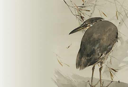 Transforming Ugliness into Beauty: Black-crowned Night Heron under the moonlight