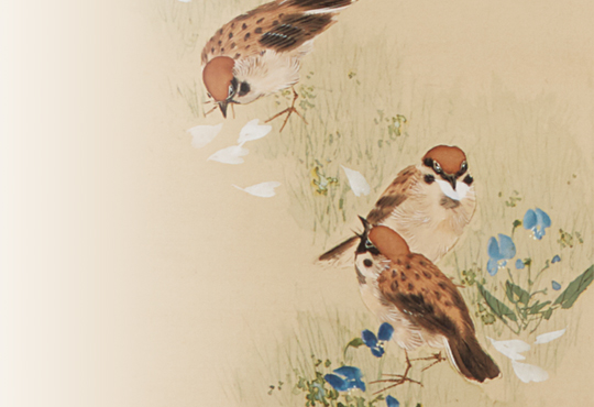 The most painted bird in Japanese paintings: flowers-and-birds Painting