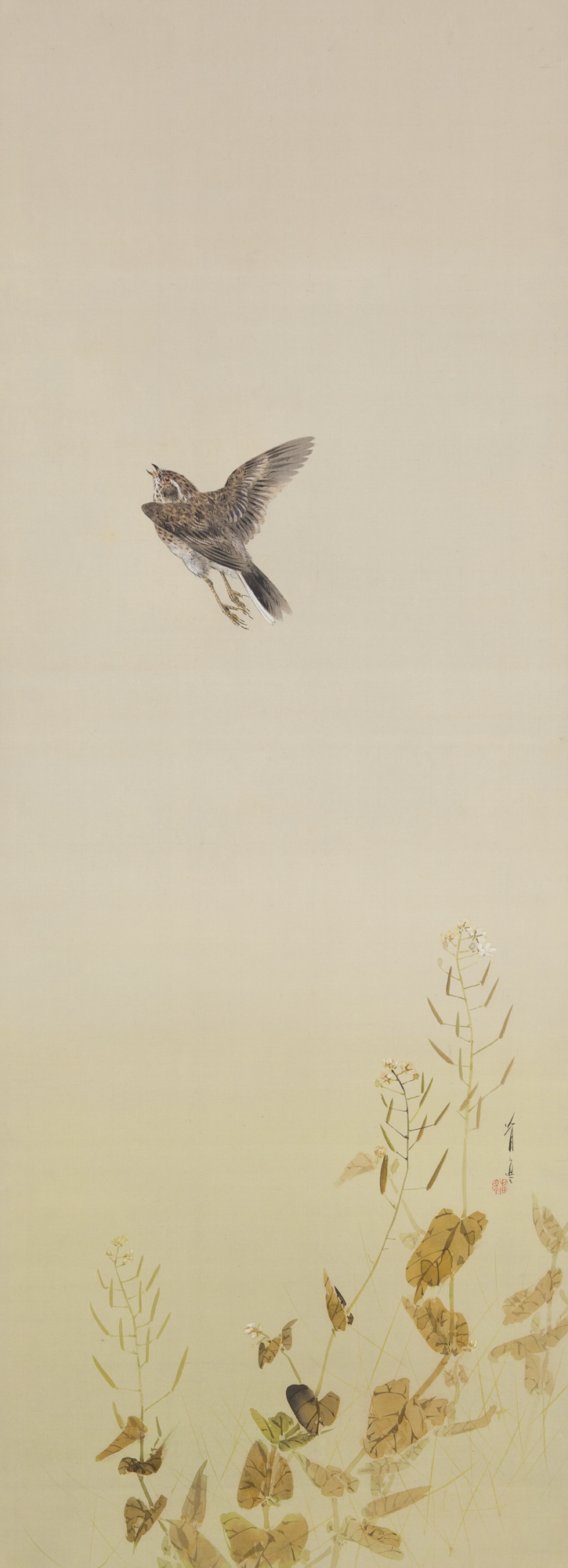 Dance your thesis pigeons image