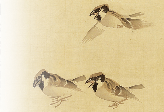 Nagasawa Rosetsu, Sparrows