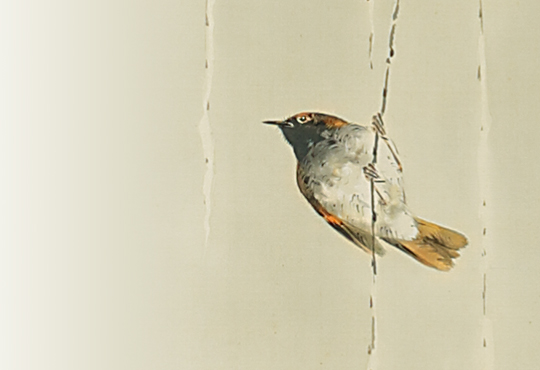 最も鳥好きな日本画家：雪柳