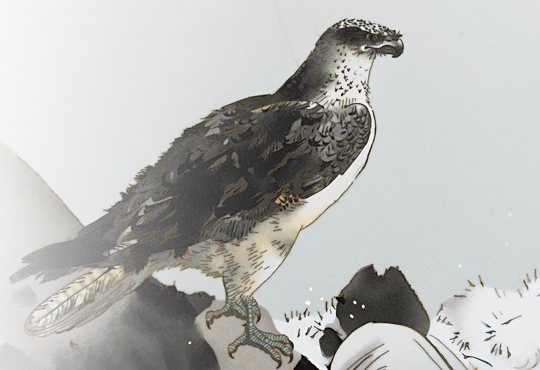 荒磯にはどんな鳥を描くべきか：七宝荒磯鶚図額